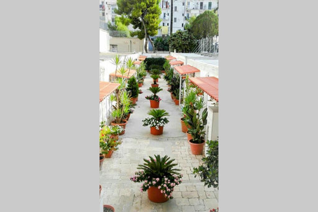 Апартаменты Al Cortile Бари Экстерьер фото